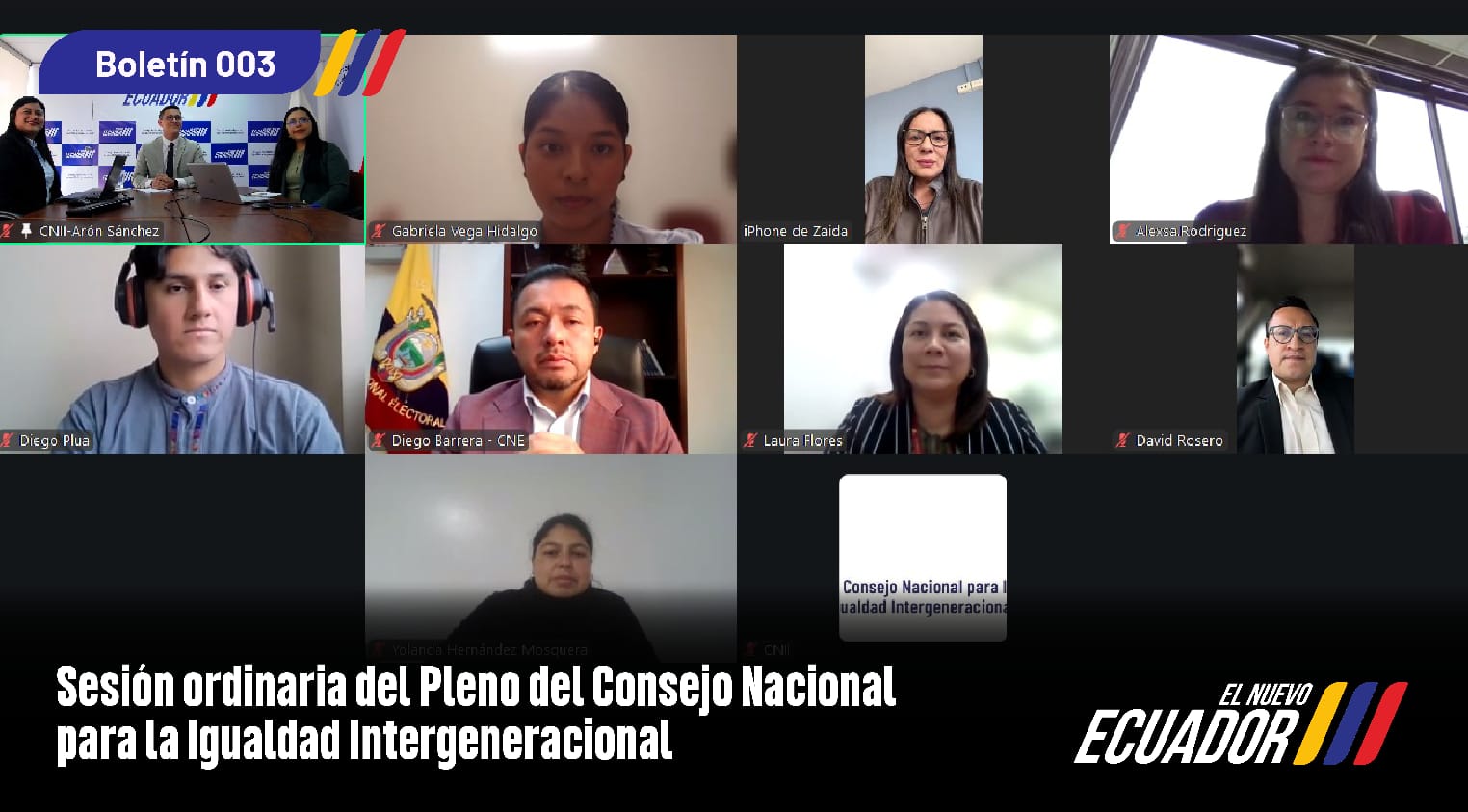 Agenda Nacional para la Igualdad Intergeneracional fue aprobada por el Pleno del CNII